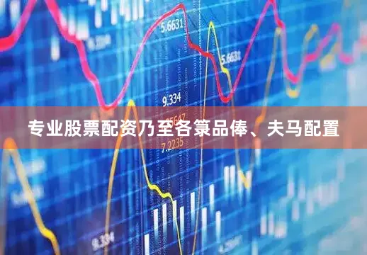 专业股票配资乃至各箓品俸、夫马配置