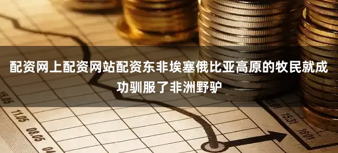 配资网上配资网站配资东非埃塞俄比亚高原的牧民就成功驯服了非洲野驴