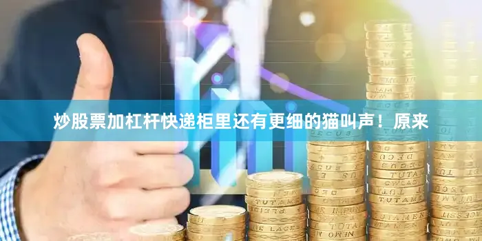 炒股票加杠杆快递柜里还有更细的猫叫声！原来