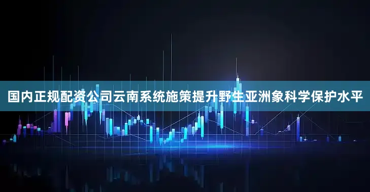 国内正规配资公司云南系统施策提升野生亚洲象科学保护水平